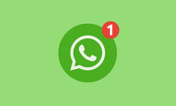 Hande Fırat yasa istismara açık "Sansür yasası" WhatsApp gruplarını da etkileyecek