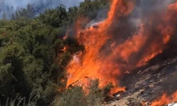 Antalya'nın Gazipaşa ilçesinde orman yangını çıktı