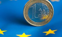 Euro Bölgesi'nde yıllık enflasyon rekor tazeledi