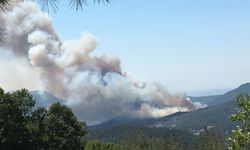 Balıkesir ve Aydın'daki orman yangınları kontrol altına alındı