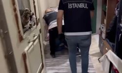İstanbul'da narkotik operasyonu: 367 kilo uyuşturucu, 39 bin hap ele geçirildi