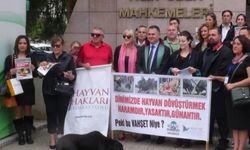 İzmir Bayındır'da hayvan katliamı iddiası