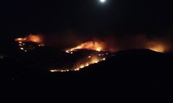 CHP'li Özkan paylaştı: Çeşme'deki yangın hala sürüyor