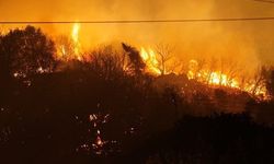 Çeşme'de yangın: Ildır'daki alevler kontrol altına alındı