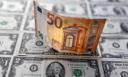 Euro/dolar paritesi 1,02'ye geriledi: 20 yılın en düşüğü
