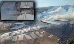 Bergama'daki yangın büyüyor: Süt fabrikası da alev aldı