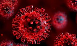 AB, Koronavirüs'ün alt varyantlarına karşı yeni BionTech aşısına onay verdi