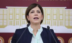 Meral Danış Beştaş: İzmir’de Newroz sonrası yaşananlar kabul edilemez bir noktaya ulaşmıştır