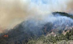 Meteoroloji  7 kent için  "orman yangını"na karşı uyarıda bulundu