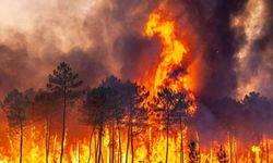 Avrupa yanıyor: En az bin kişi hayatını kaybetti