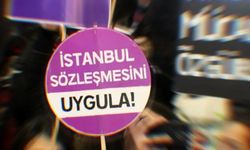 BM Özel Raportörü'nden İstanbul Sözleşmesi uyarısı