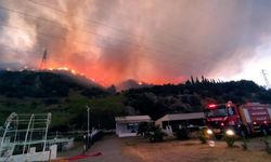 Söke'deki orman yangını 14 saat sonra kontrol altında: 50 hektar orman kül oldu