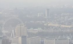 Bilim insanları: Hava kirliliği demansa neden olabilir