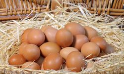 İki yumurta kırmak da ateş pahası: Yumurtaya 1 yılda yüzde 250 zam geldi!