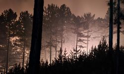 Kütahya Emet'te orman yangını: 200 hektarlık alan kül oldu, müdahaleye rağmen büyüyor