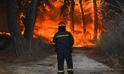 Yunanistan'daki yangın Edirne sınırına dayandı