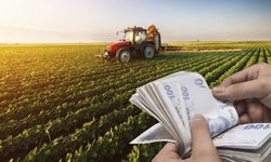 Tarımsal destek ödemeleri başladı:  Ödemeler çiftçilerin hesabına aktarıldı