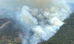 İzmir'de iki ayrı orman yangını