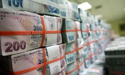 Hazine ve Maliye Bakanlığı, 17 milyar 160,9 milyon lira borçlanmaya gitti