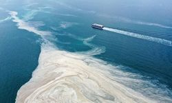 Çevre mühendisi Öztürk’ten endişelendiren açıklama: Marmara Denizi dipten itibaren boğularak ölüyor