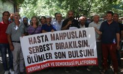Dersim Emek ve Demokrasi Güçleri: 'Hasta tutuklular serbest bırakılsın, ölümler son bulsun'