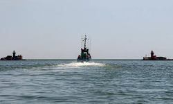 Ukrayna Savaşı'nda kullanılan sonar cihazlar Karadeniz'de yunus ölümlerine sebep oluyor