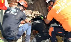 Beşiktaş Belediyesi olası İstanbul depremine karşı tatbikat yaptı