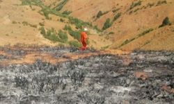 Bingöl Yayladere'de otluk alanda yangın