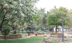Burdur'da sağanak yağış etkili oldu, kuvvetli rüzgar ağaçları devirdi
