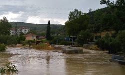 Bursa'da yağış: 260 konutu su bastı, ağaçlar devrildi, dereler taştı