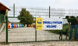 Bursa Mustafakemalpaşa'da 'Engelli Hayvan Birimi' faaliyette