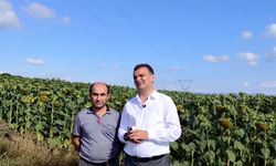 CHP Samsun İl Başkanı: 3 yıldır hasat bitiyor, hasat bittikten sonra ayçiçek fiyatı açıklanıyor