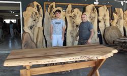 Edremit'te atık ağaçlar sanat eserine dönüşüyor