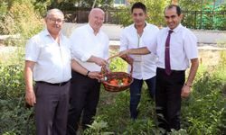 Engelli bireyler Menteşe Belediyesi'nin projesi kapsamında etkileri ürünleri hasat etti