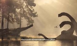 İYİ Parti'den "Ankapark" mesajlı dinozorlar videosu: Günümüz dinozorları meteorla değil, sandıkla gidecek!