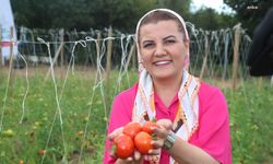 İzmit Belediyesi, ekilen sebzeleri Hasat Şenliği'nde topladı