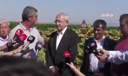 Kılıçdaroğlu Edirne'de konuştu: Ayçiçek kilo fiyatı 16 lira olması lazım, destek hariç"