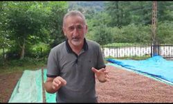 Mustafa Adıgüzel: Bu, Erdoğan’ın açıkladığı son fındık fiyatı olacak