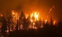 ABD'nin California eyaleti yangınlarla boğuşmaya devam ediyor