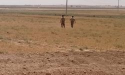 Ceylanpınar'da boş arazide bir erkeğe ait cansız beden bulundu