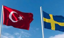 Anadolu Ajansı, İsveç'in bir kişiyi PKK'li olduğu iddiasıyla Türkiye'ye vereceğini iddia eden bir haber yayınladı
