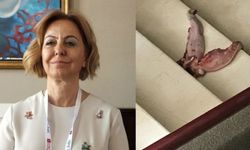 Dr. Esin Davutoğlu Şenol, adım adım planlanan bir cinayetin hedefi olduğunu açıkladı: Kapısına iki tane dana dili atıldı
