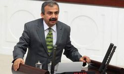 Önder’in avukatından ‘Cumhurbaşkanına hakaret’ kararına itiraz
