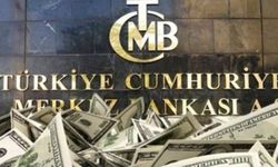 Merkez Bankası'nın faiz kararına ekonomist yorumu: TCMB yoldan çıktı