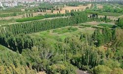 Atatürk Orman Çiftliği'nin 64 bin metrekaresi tahsis edilen spor kulübü; arazi üzerinde nikah, düğün yapmış