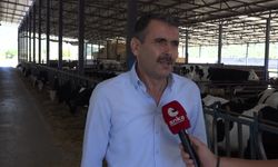 Çiğ süt fiyatı üreticiyi memnun etmedi: Üreticiler hayvanlarını kestiriyor