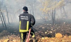 Antalya Büyükşehir İtfaiyesi Mersin'de yangınla mücadele ediyor