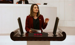 Aysu Bankoğlu, Bartın'daki Arzu Ar cinayetini Meclis gündemine taşıdı