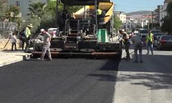 Bornova Belediyesi, asfalt çalışmalarına hız verdi