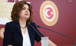 HDP'li Koçyiğit Milli Eğitim Bakanı'na sordu: Eğitim neden devlet tarafından ücretsiz verilmiyor?